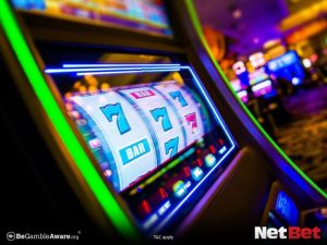divepg - Plataforma Login Bet
