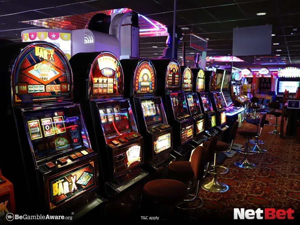 divepg - Cassino Bet Oficial
