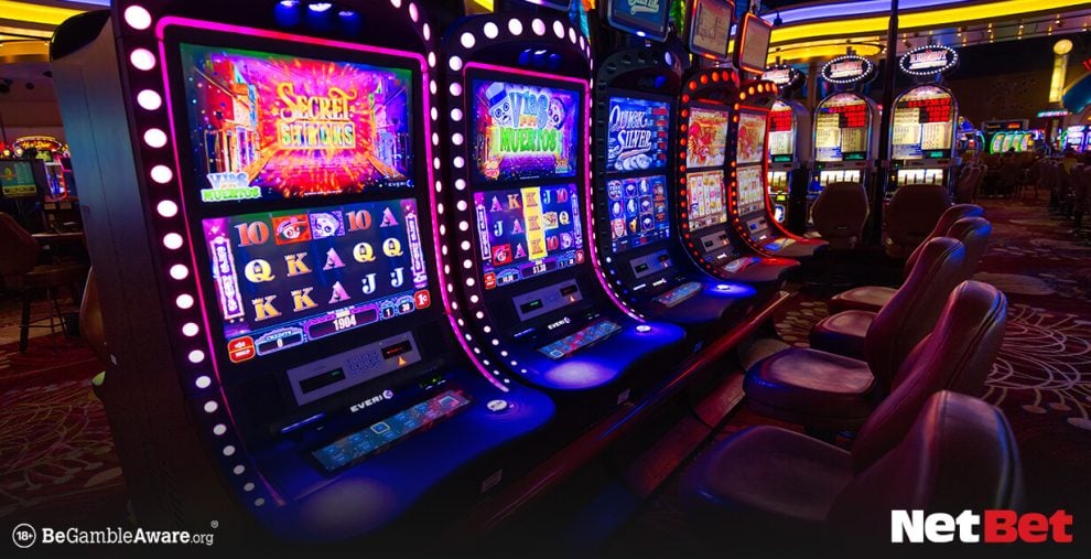 divepg - Slot Oficial Bet
